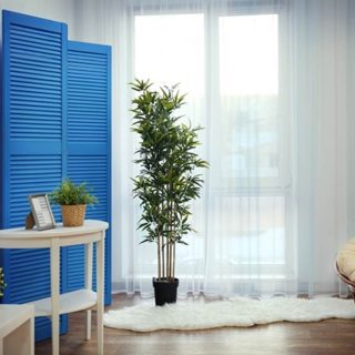 25 Girls’ secrets of a great first date