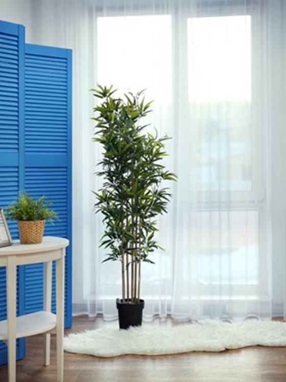 Fresh window shutters ideas