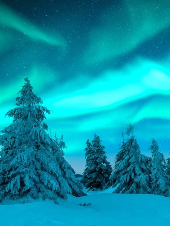 Lapland – Christmas in the Santa Land