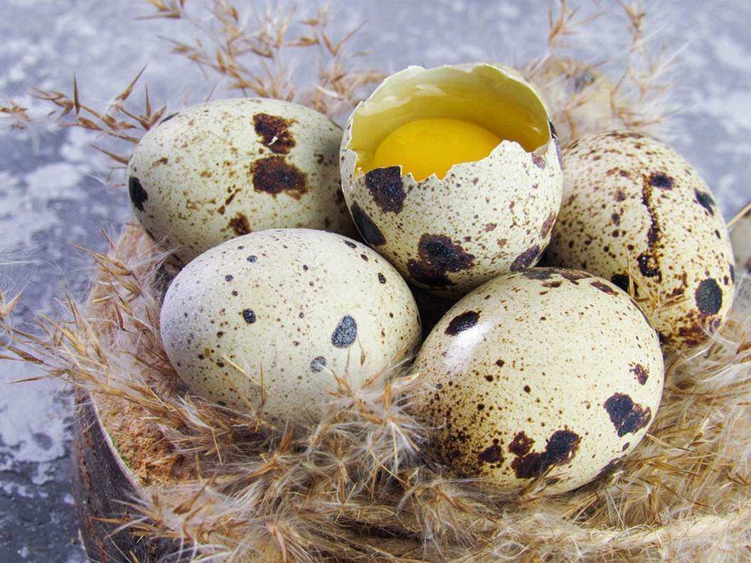Quail eggs DIY beauty care hacks