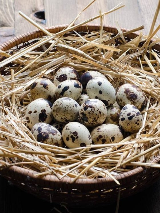 Quail eggs for your inside out beauty