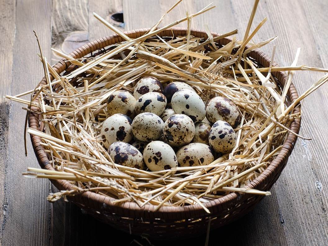 Quail eggs for your inside out beauty