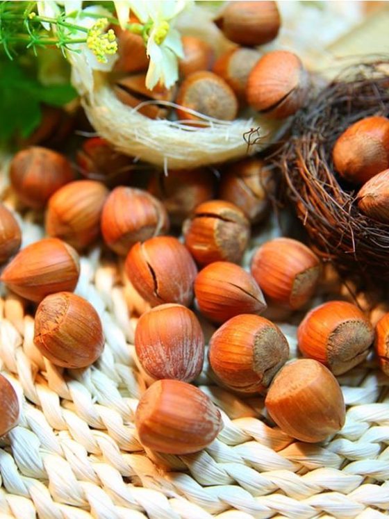 10 Secret Reasons to Go Nuts