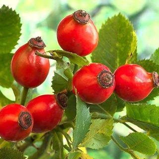 Beauty magic of ordinary butter