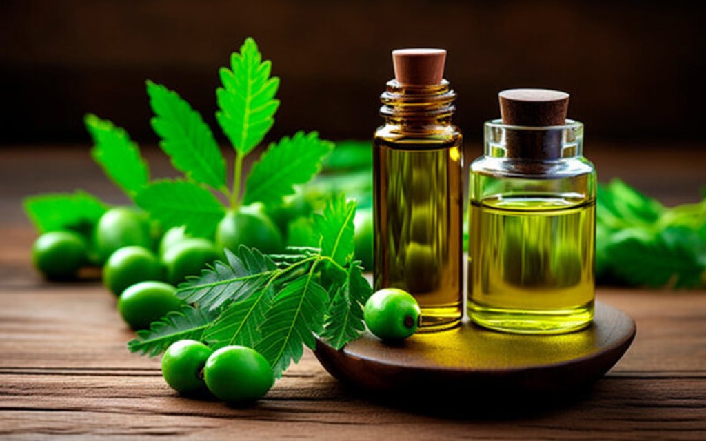 Beauty secrets of neem oil