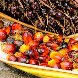 Beauty secrets of baobab oil