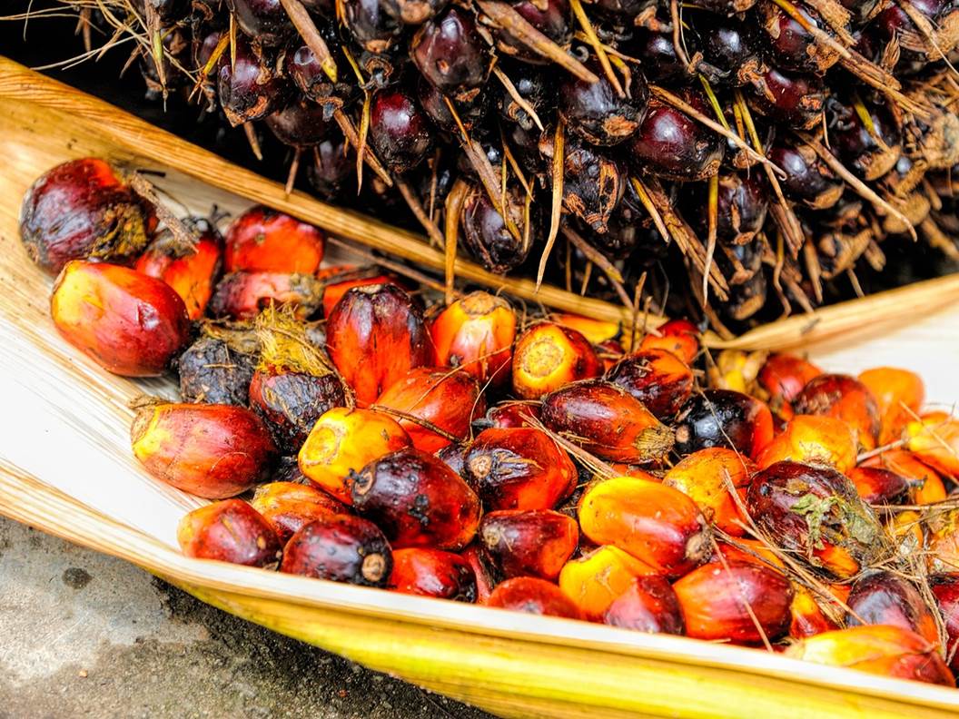 Beauty secrets of palm oil