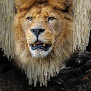 15 Unexpected reasons NOT to get married