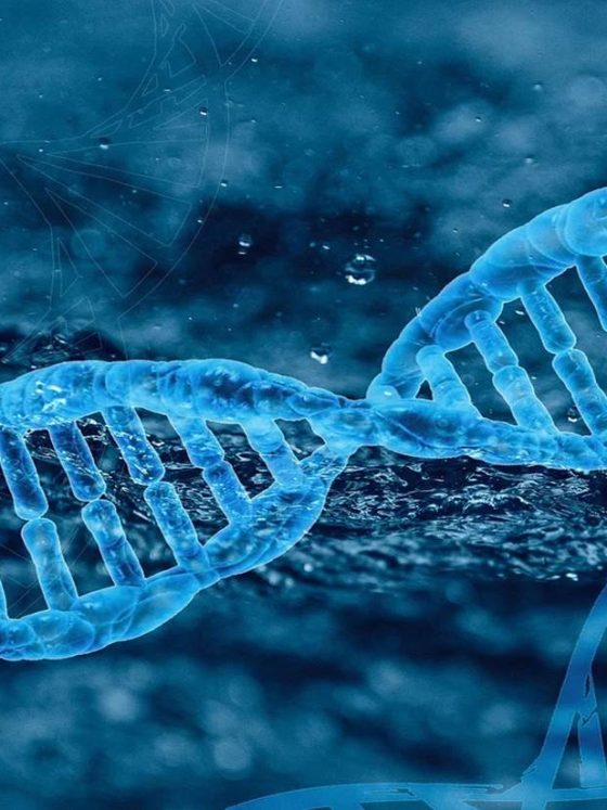 What matters more for beautiful hair – genes or care?